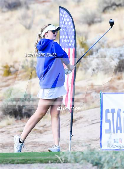 Thumbnail 2 in AIA D2 Golf State Championship photogallery.