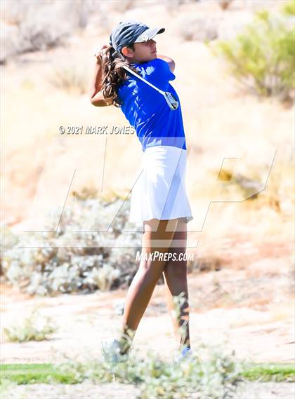 Thumbnail 2 in AIA D2 Golf State Championship photogallery.