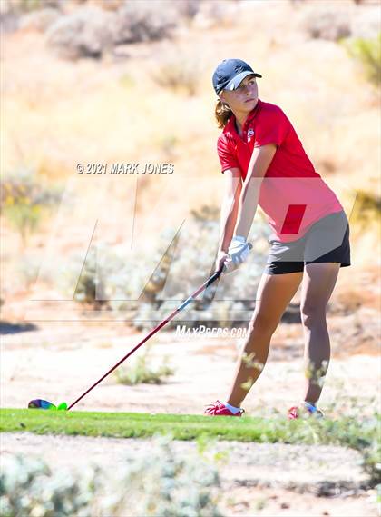 Thumbnail 2 in AIA D2 Golf State Championship photogallery.