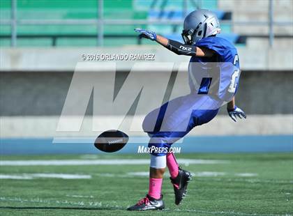 Thumbnail 1 in Olympian @ Eastlake photogallery.