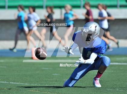 Thumbnail 1 in Olympian @ Eastlake photogallery.