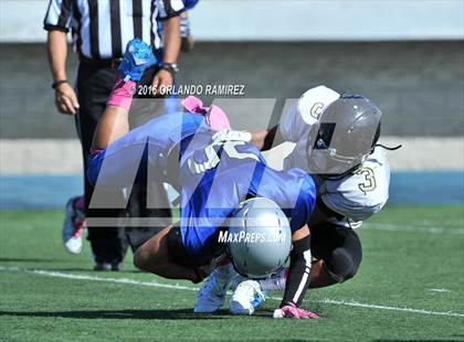 Thumbnail 2 in Olympian @ Eastlake photogallery.
