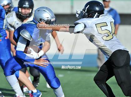 Thumbnail 2 in Olympian @ Eastlake photogallery.