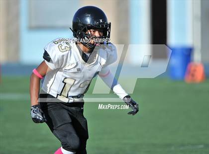 Thumbnail 1 in Olympian @ Eastlake photogallery.