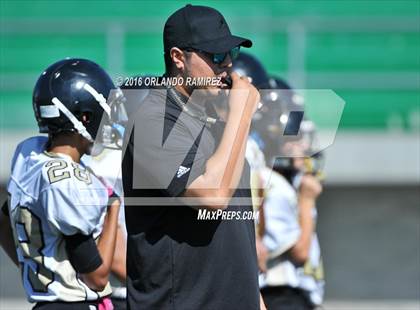 Thumbnail 2 in Olympian @ Eastlake photogallery.
