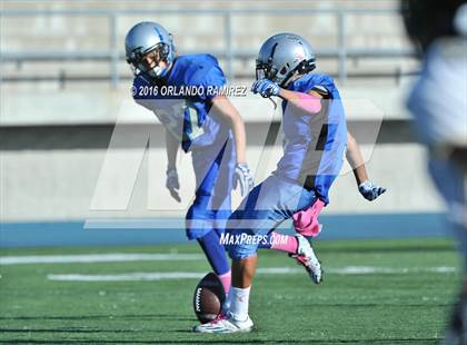 Thumbnail 2 in Olympian @ Eastlake photogallery.
