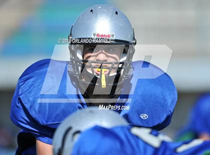 Thumbnail 2 in Olympian @ Eastlake photogallery.