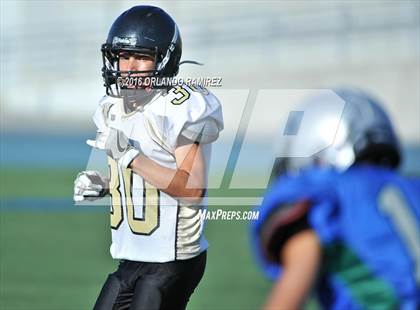 Thumbnail 2 in Olympian @ Eastlake photogallery.