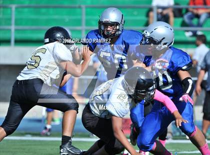 Thumbnail 2 in Olympian @ Eastlake photogallery.