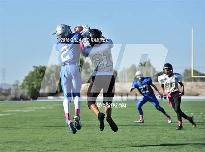 Thumbnail 2 in Olympian @ Eastlake photogallery.