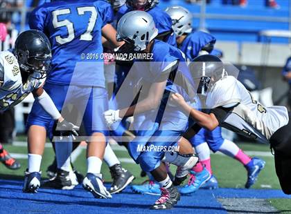 Thumbnail 2 in Olympian @ Eastlake photogallery.