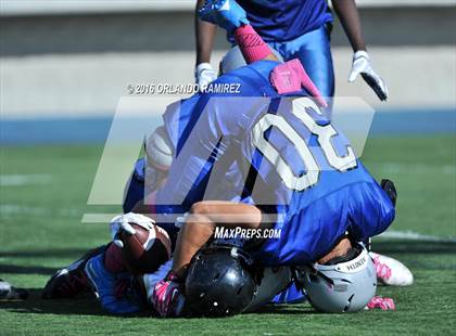 Thumbnail 2 in Olympian @ Eastlake photogallery.