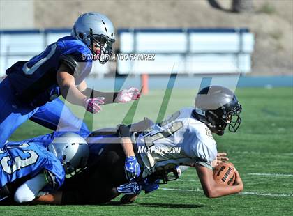 Thumbnail 1 in Olympian @ Eastlake photogallery.