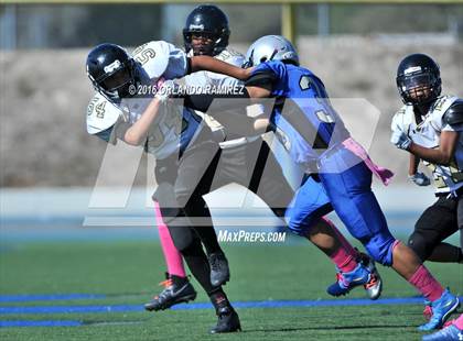 Thumbnail 2 in Olympian @ Eastlake photogallery.