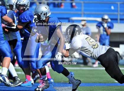 Thumbnail 1 in Olympian @ Eastlake photogallery.