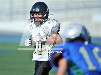 Thumbnail 1 in Olympian @ Eastlake photogallery.