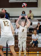 Photo from the gallery "Notre Dame (SO) @ Crespi"