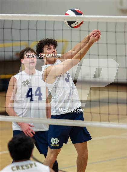 Thumbnail 3 in Notre Dame (SO) @ Crespi photogallery.