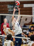 Photo from the gallery "Notre Dame (SO) @ Crespi"