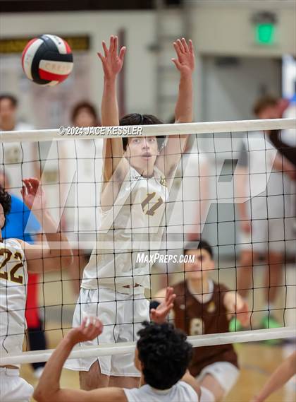 Thumbnail 3 in Notre Dame (SO) @ Crespi photogallery.