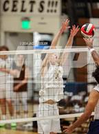 Photo from the gallery "Notre Dame (SO) @ Crespi"