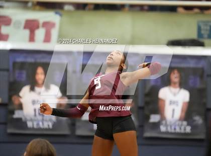 Thumbnail 2 in College Station vs. A&M Consolidated (UIL 5A Volleyball Division II Regional Final) photogallery.