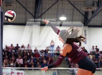 Thumbnail 3 in College Station vs. A&M Consolidated (UIL 5A Volleyball Division II Regional Final) photogallery.