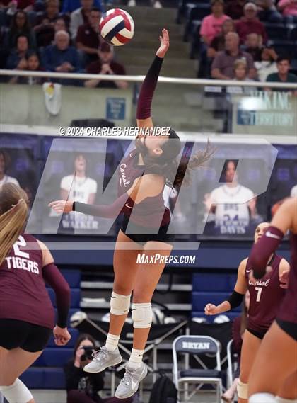Thumbnail 2 in College Station vs. A&M Consolidated (UIL 5A Volleyball Division II Regional Final) photogallery.