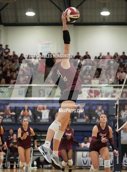 Thumbnail 3 in College Station vs. A&M Consolidated (UIL 5A Volleyball Division II Regional Final) photogallery.