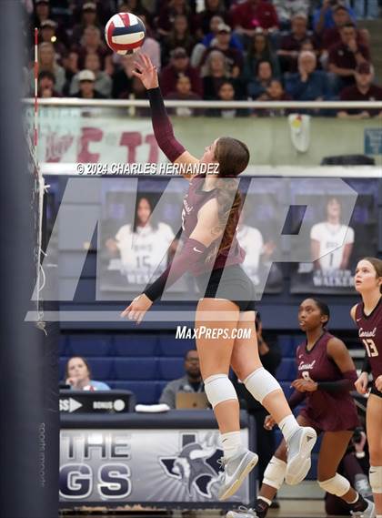 Thumbnail 2 in College Station vs. A&M Consolidated (UIL 5A Volleyball Division II Regional Final) photogallery.