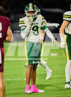 Photo from the gallery "Stratford @ Cy-Fair"