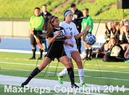 Thumbnail 2 in La Costa Canyon vs. Westview (CIF SDS Open Division Final) photogallery.