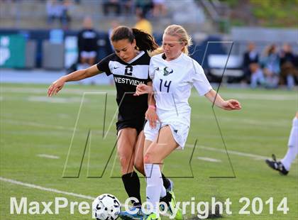 Thumbnail 1 in La Costa Canyon vs. Westview (CIF SDS Open Division Final) photogallery.