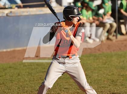 Thumbnail 3 in Troy vs. Potlatch photogallery.
