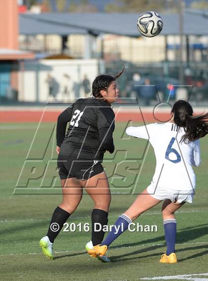 Thumbnail 2 in Gabrielino @ Arroyo photogallery.