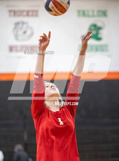 null - Photo 01