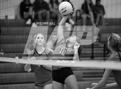 Thumbnail 3 in Gibbs @ Clearwater photogallery.