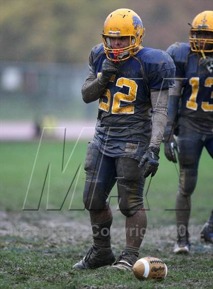 Thumbnail 3 in Orchard Park @ Lockport photogallery.