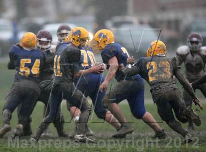 Thumbnail 3 in Orchard Park @ Lockport photogallery.