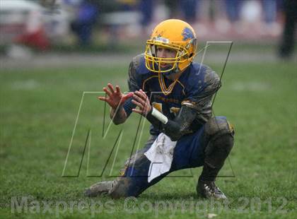 Thumbnail 2 in Orchard Park @ Lockport photogallery.