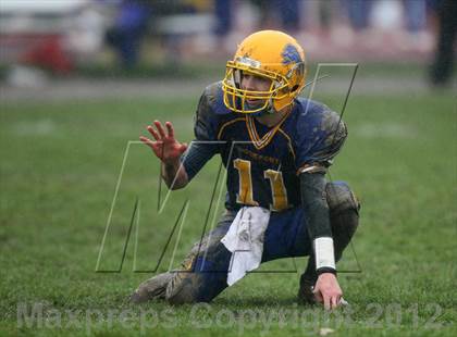 Thumbnail 1 in Orchard Park @ Lockport photogallery.