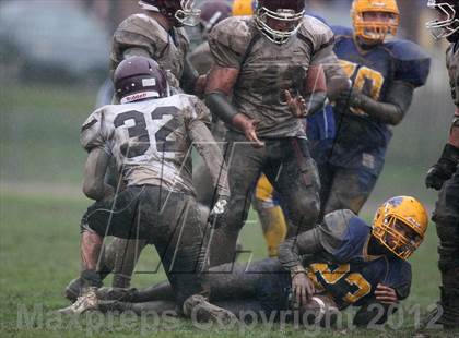 Thumbnail 1 in Orchard Park @ Lockport photogallery.