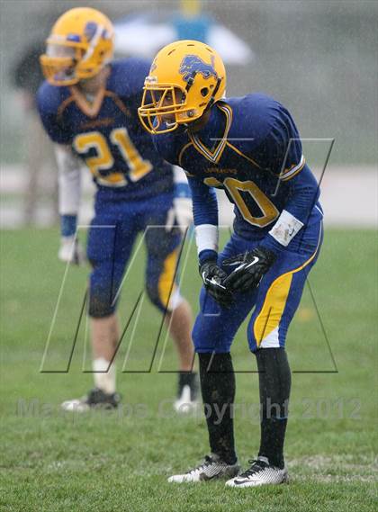 Thumbnail 1 in Orchard Park @ Lockport photogallery.