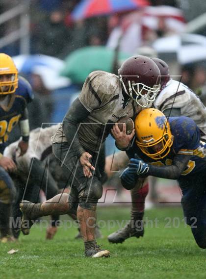 Thumbnail 3 in Orchard Park @ Lockport photogallery.