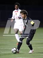 Photo from the gallery "Salesian College Preparatory @ Hercules"