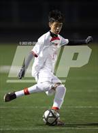 Photo from the gallery "Salesian College Preparatory @ Hercules"