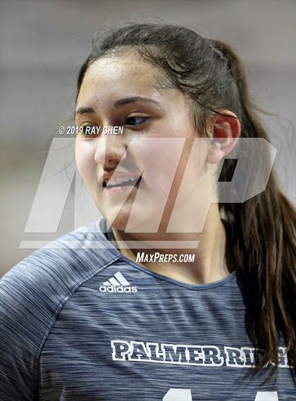 Thumbnail 2 in Palmer Ridge vs. Cheyenne Mountain (CHSAA 4A State Semifinal) photogallery.