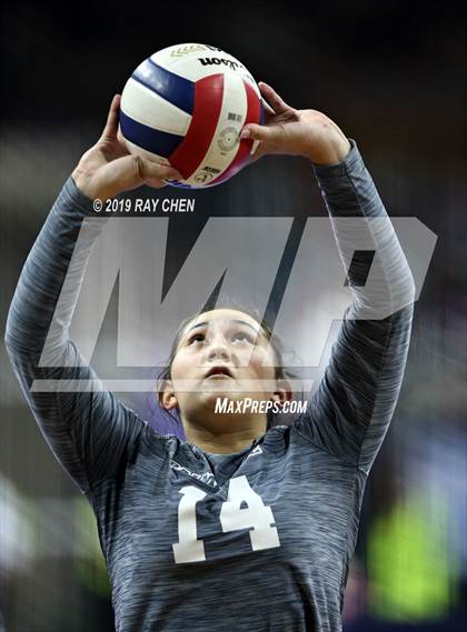 Thumbnail 2 in Palmer Ridge vs. Cheyenne Mountain (CHSAA 4A State Semifinal) photogallery.