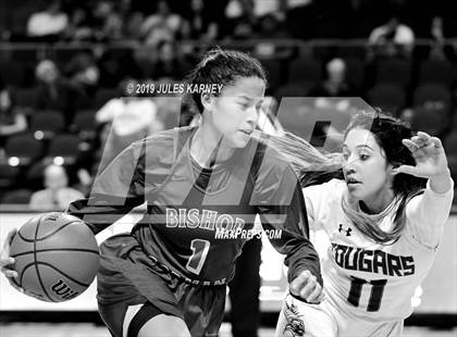 Thumbnail 1 in Spanish Springs vs Bishop Gorman (NIAA 4A Semifinal) photogallery.