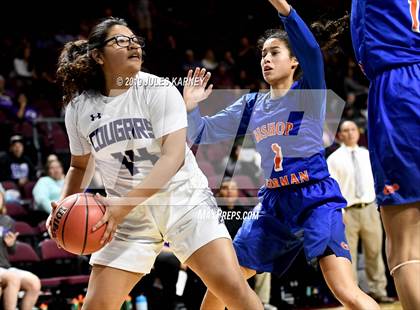Thumbnail 2 in Spanish Springs vs Bishop Gorman (NIAA 4A Semifinal) photogallery.